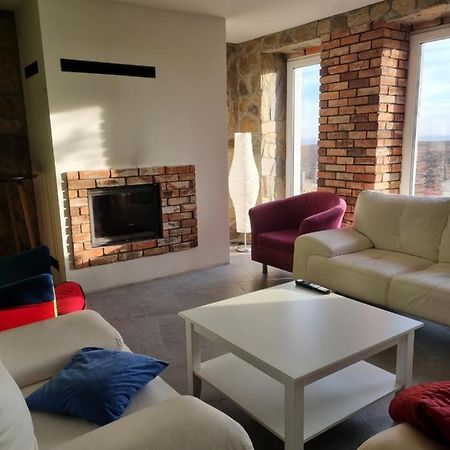 Mlynska 8 Opole-Gorki Villa Exteriör bild