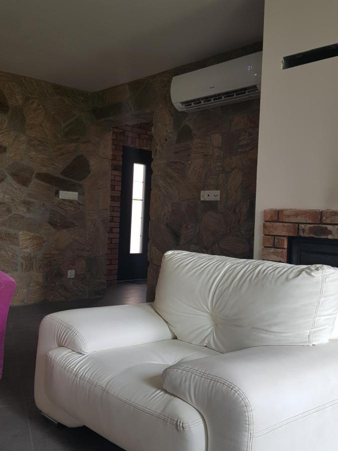 Mlynska 8 Opole-Gorki Villa Exteriör bild